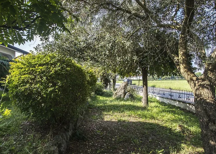 - Via Postale 63/a *