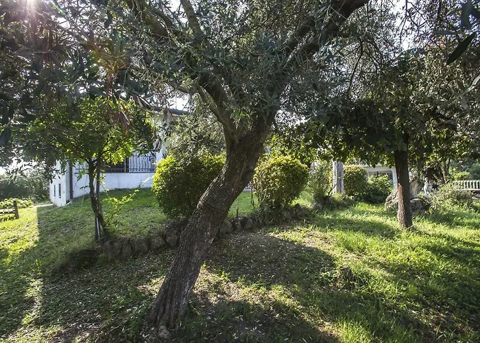 - Via Postale 63/a *