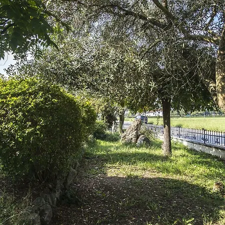 - Via Postale 63/a *