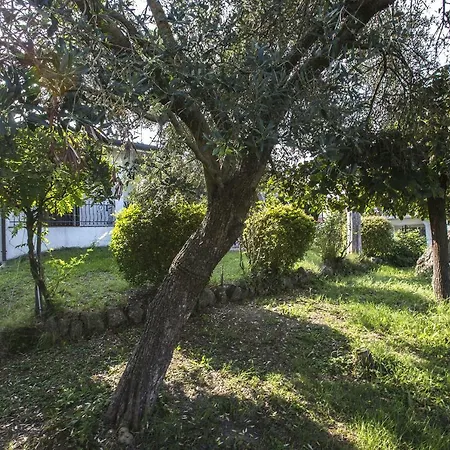 - Via Postale 63/a *